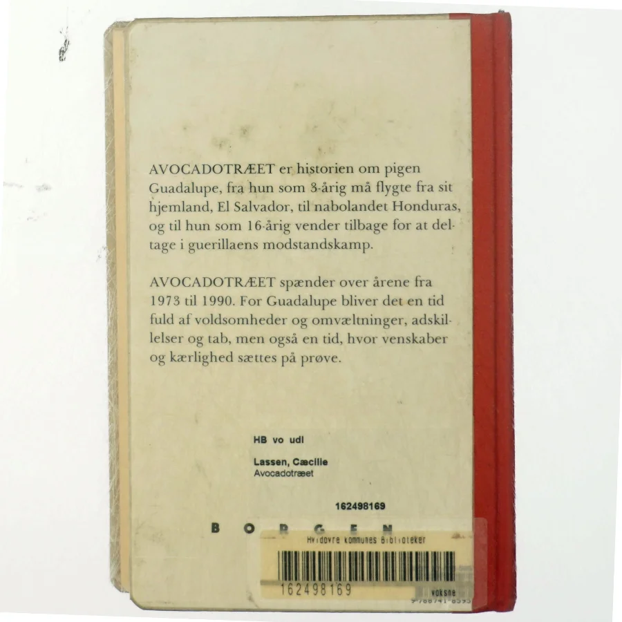 Cæcilie Lassen, Avocadotræet