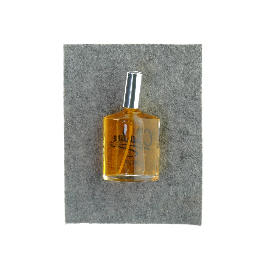 Charlie blue parfume (str. 100 ml)