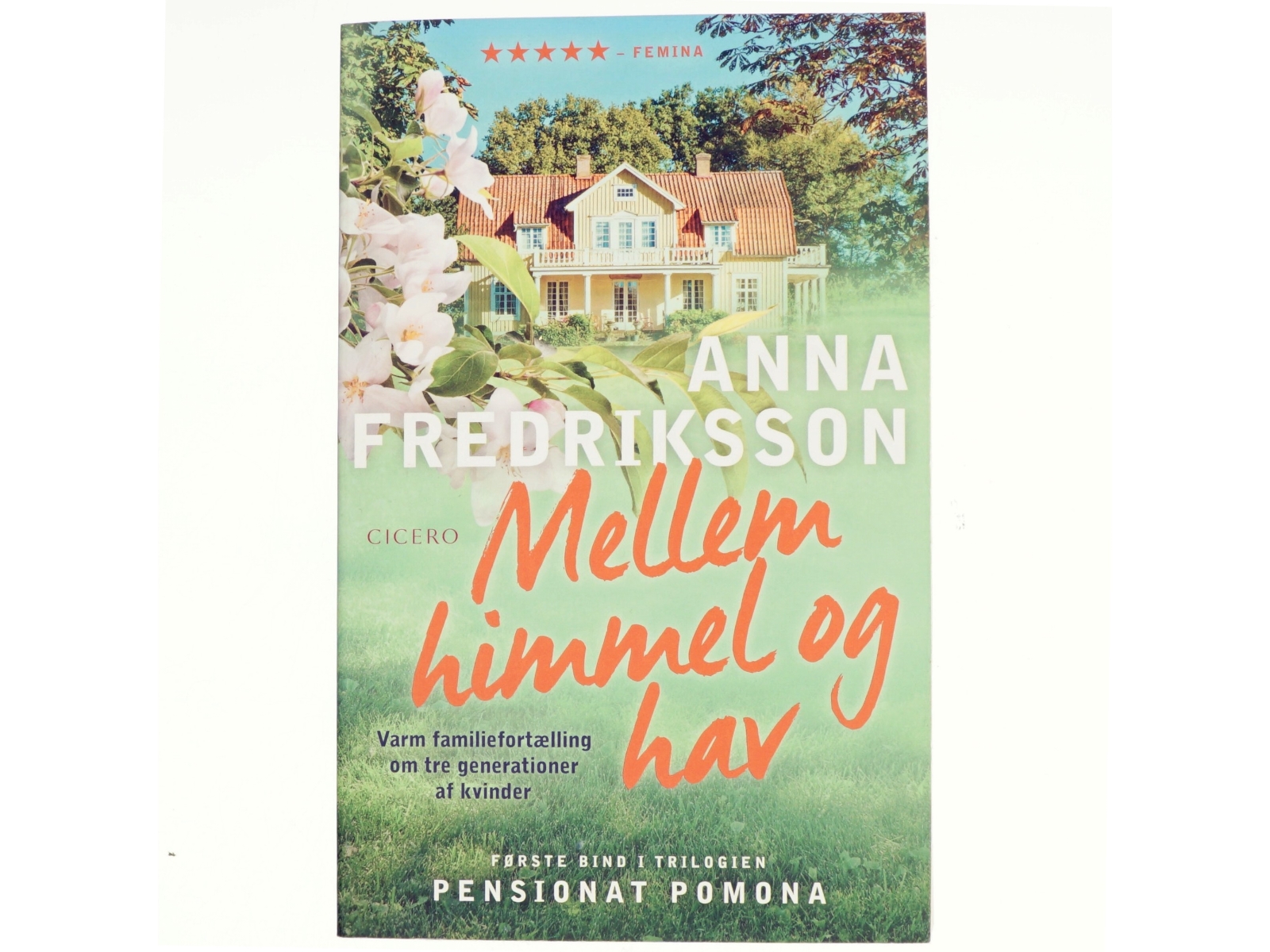 Mellem himmel og hav af Anna Fredriksson (Bog)