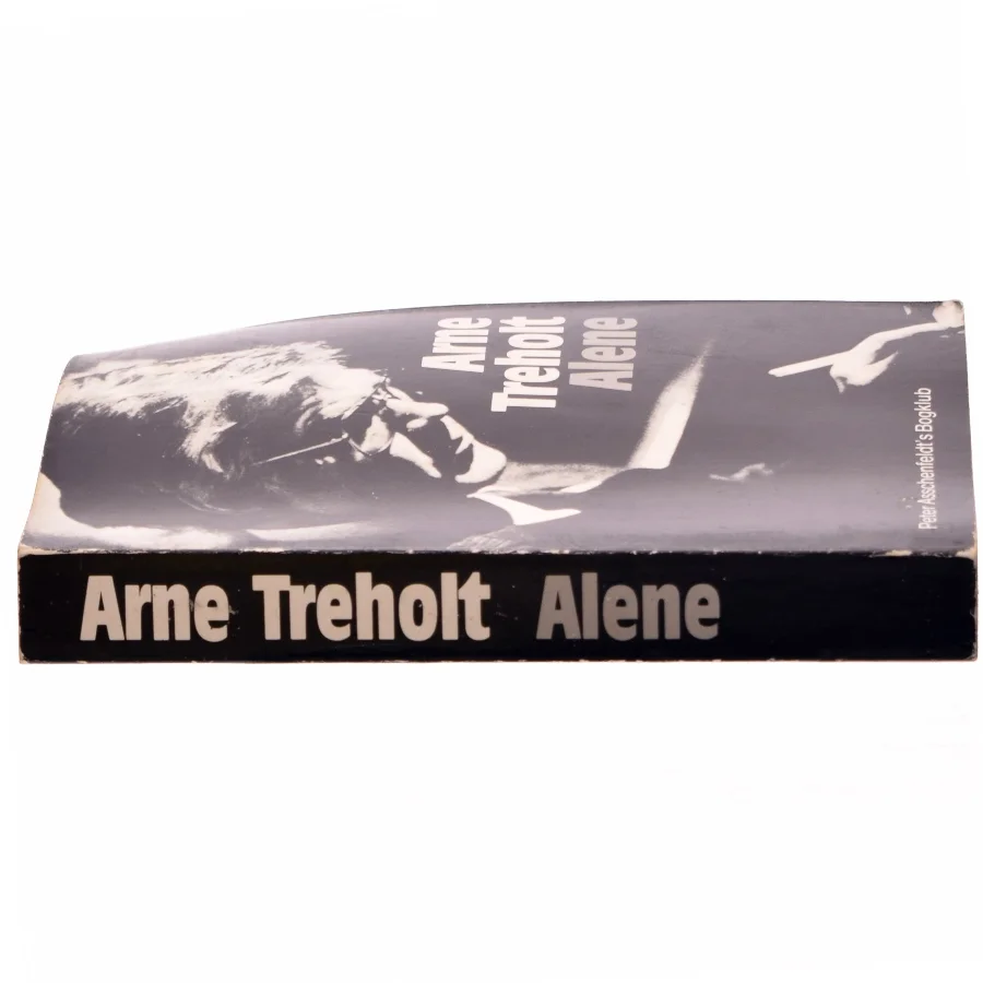 Arne Treholt, alene