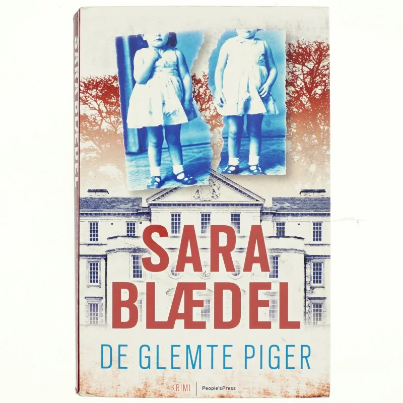 De Glemte Piger (Bog)