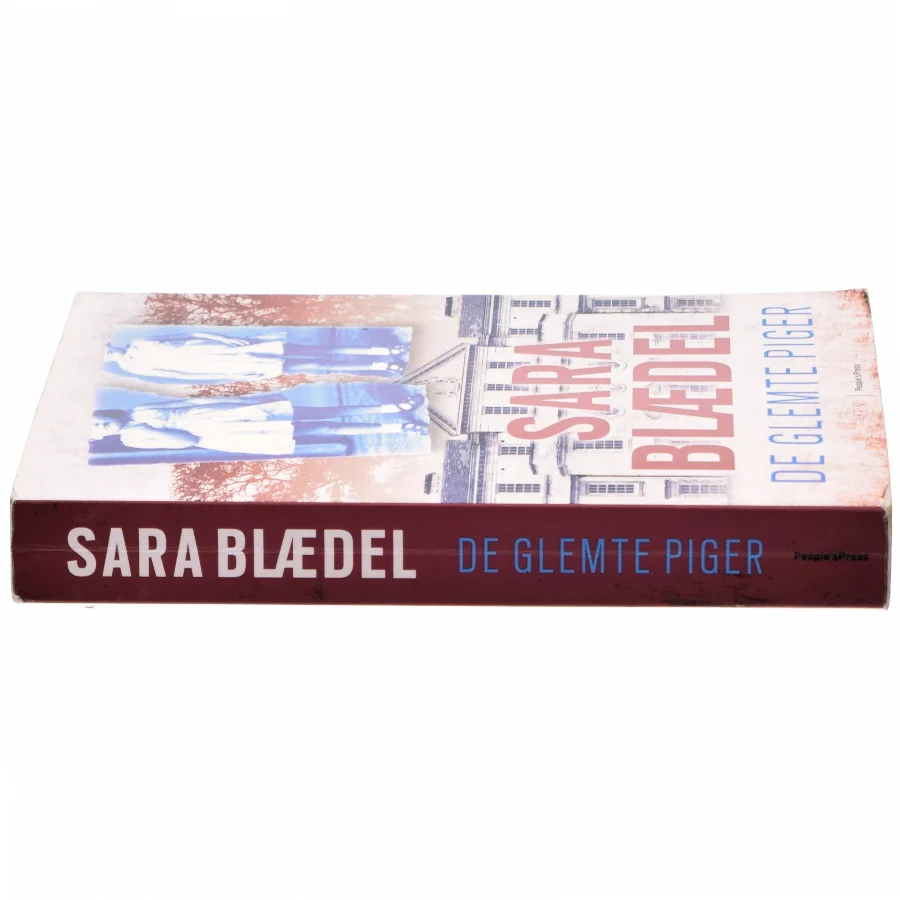 De Glemte Piger (Bog)