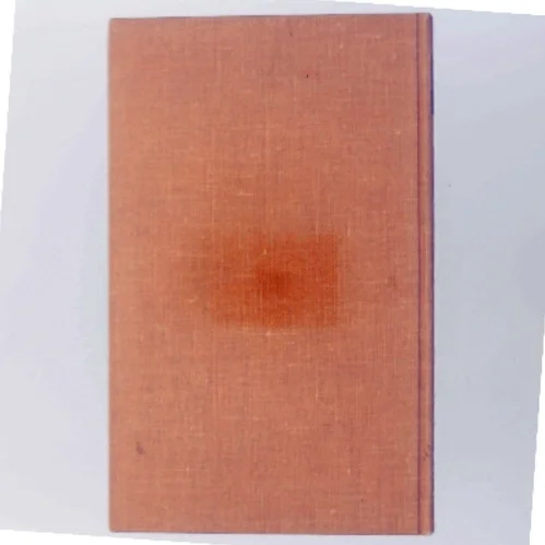 Mitte Hütten af Christiane Ritter (Bog)