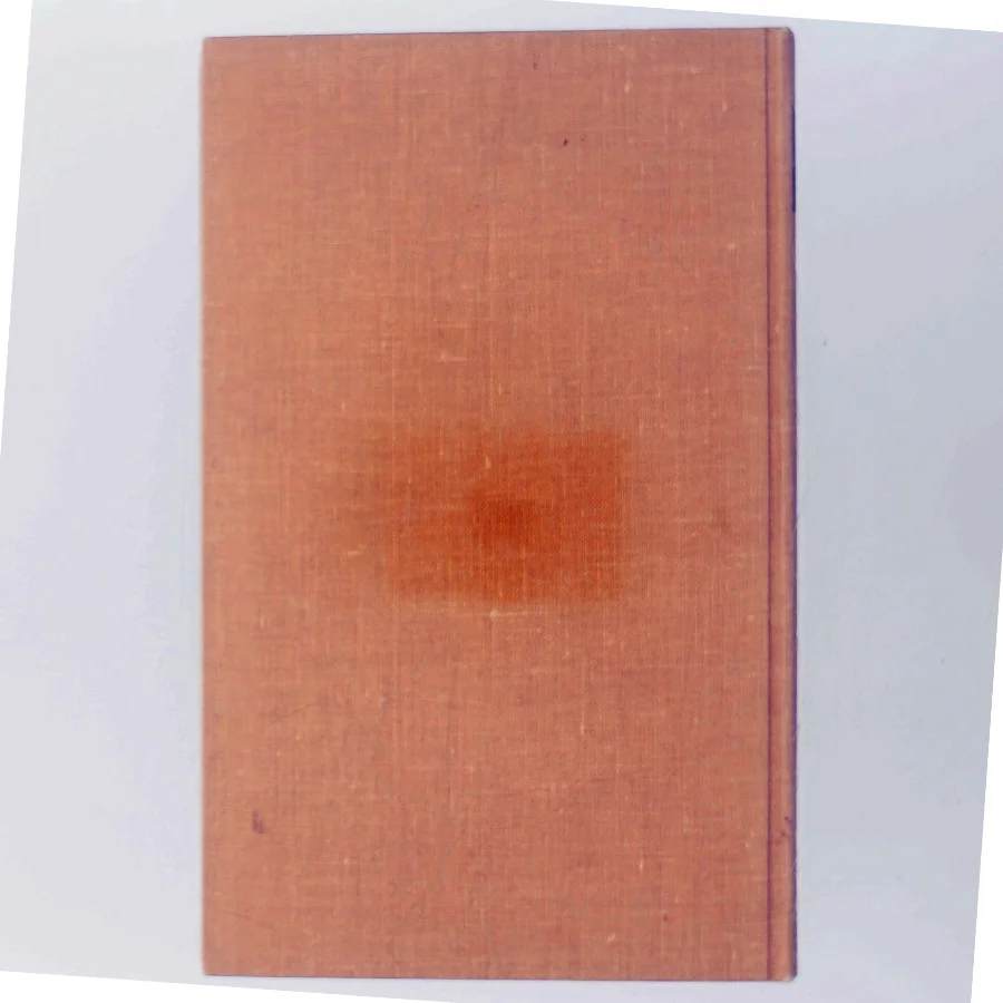 Mitte Hütten af Christiane Ritter (Bog)