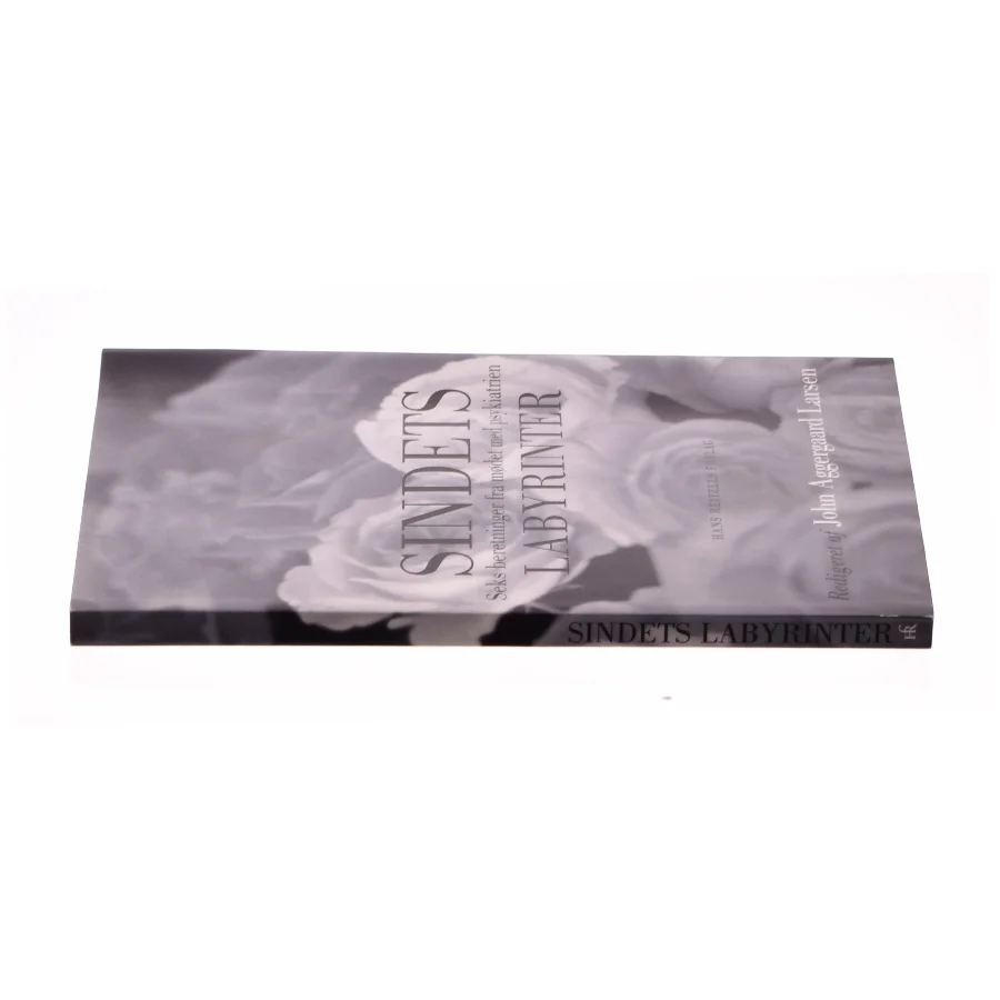 Sindets labyrinter af John Aggergaard Larsen (Bog)