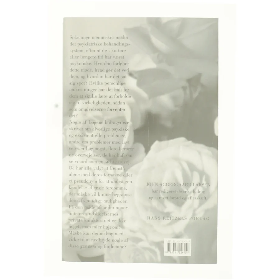 Sindets labyrinter af John Aggergaard Larsen (Bog)