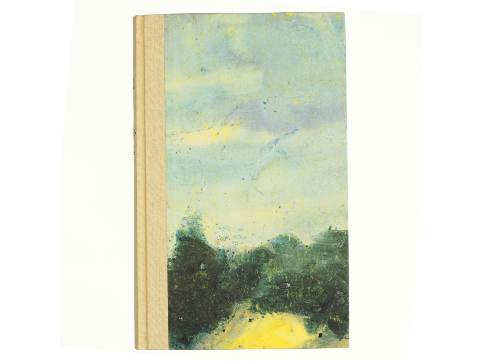 Den lange sommer af Kirsten Thorup
