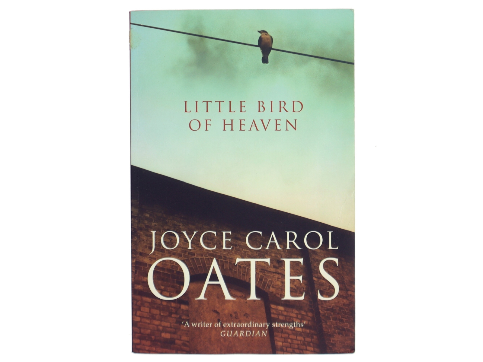 Little bird of heaven af Joyce Carol Oates (Bog)