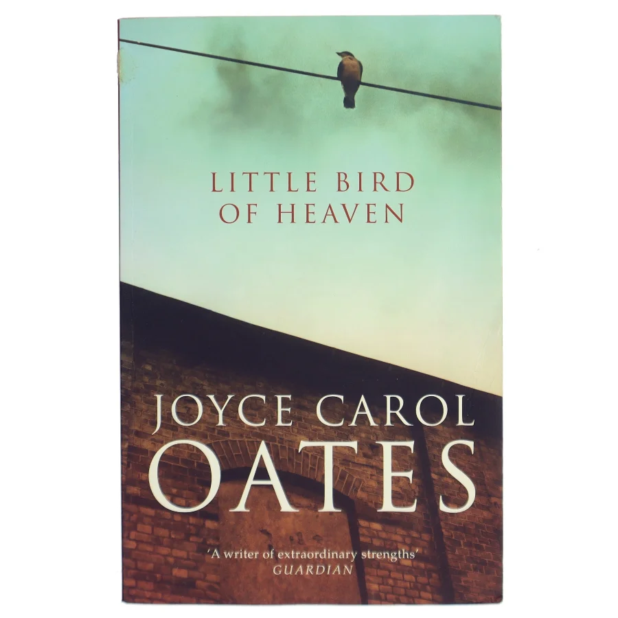Little bird of heaven af Joyce Carol Oates (Bog)