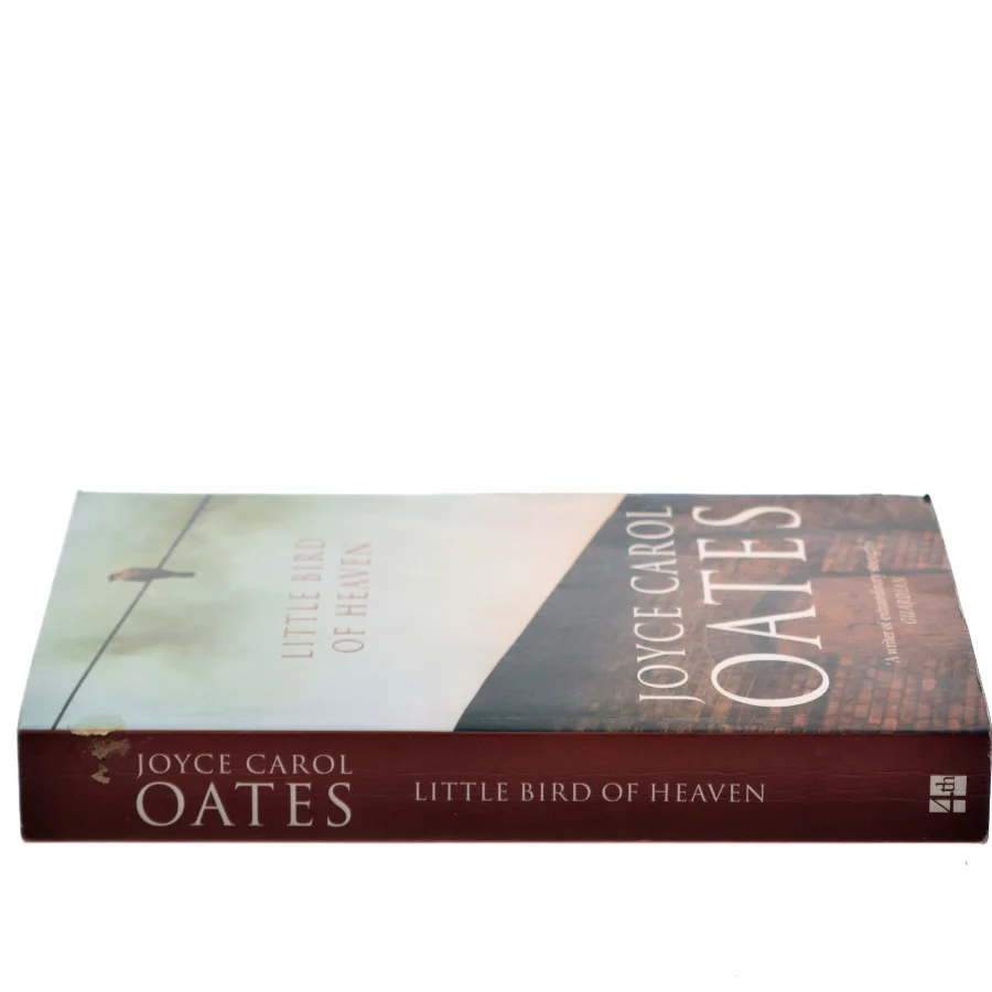Little bird of heaven af Joyce Carol Oates (Bog)