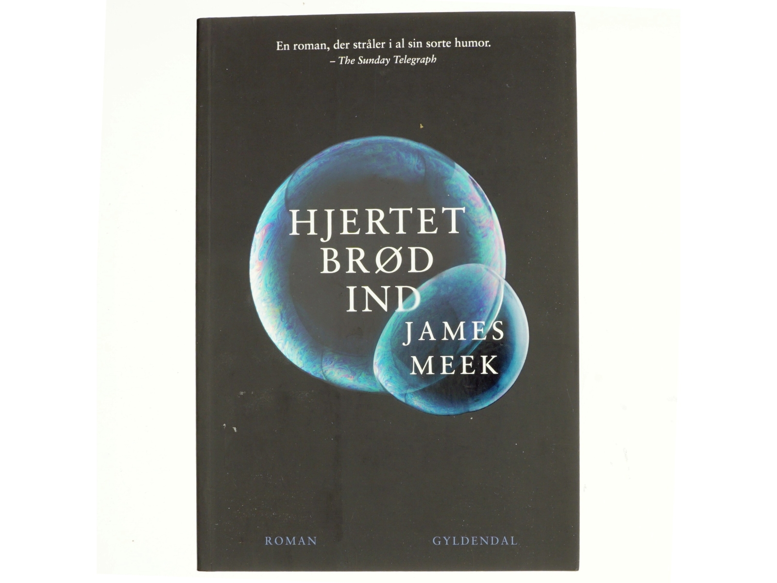 Hjertet brød ind af James Meek (Bog)