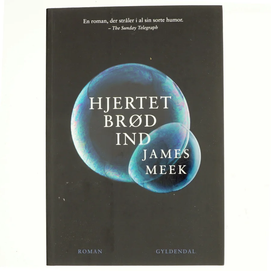 Hjertet brød ind af James Meek (Bog)