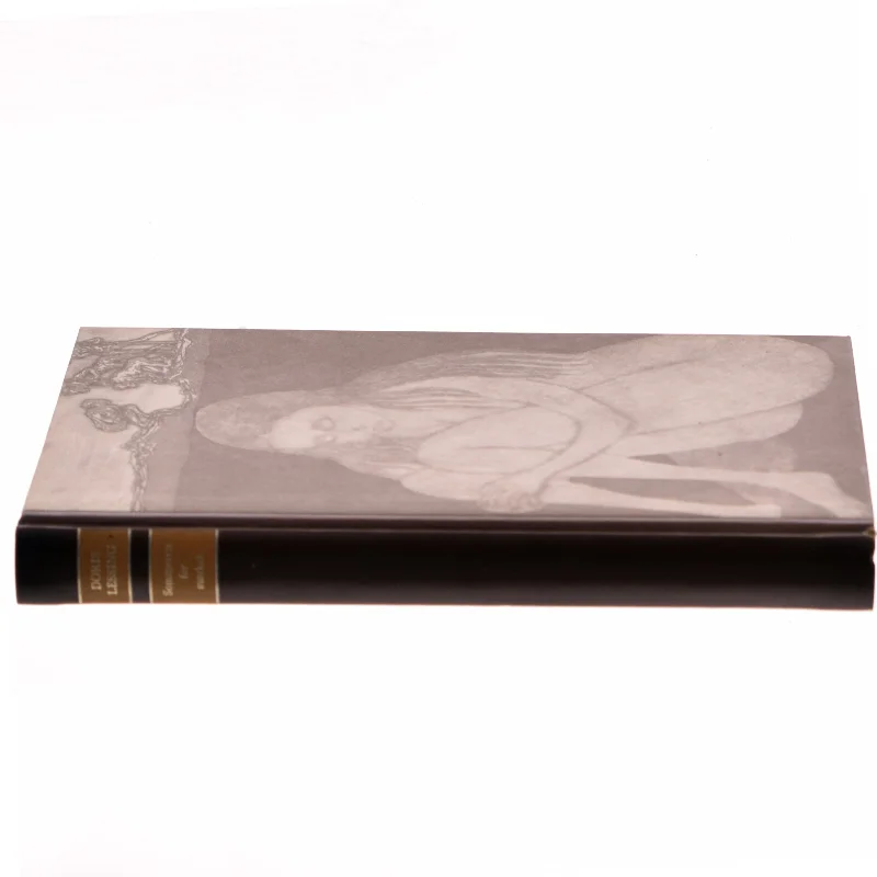 Sept leçons sur le cerveau af Denis Le Bihan (Bog)