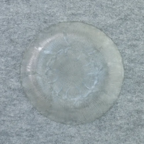 Glas asiette (str. 20 cm)