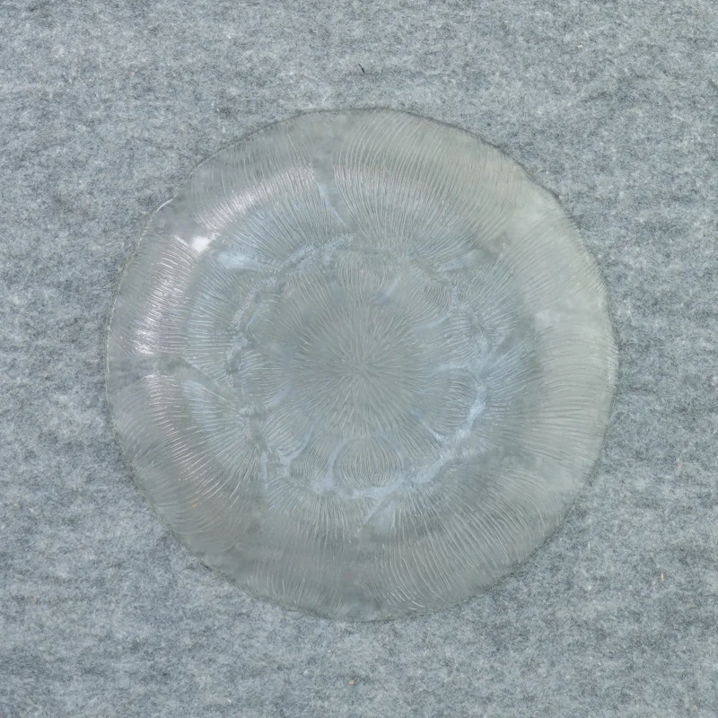 Glas asiette (str. 20 cm)