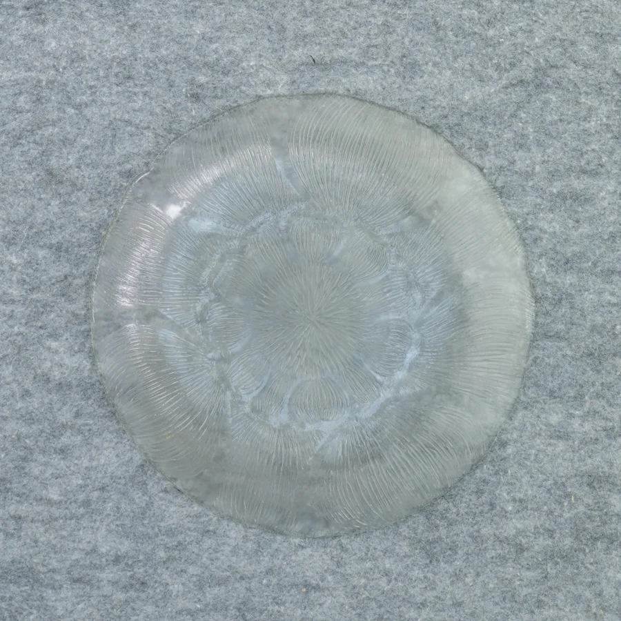 Glas asiette (str. 20 cm)