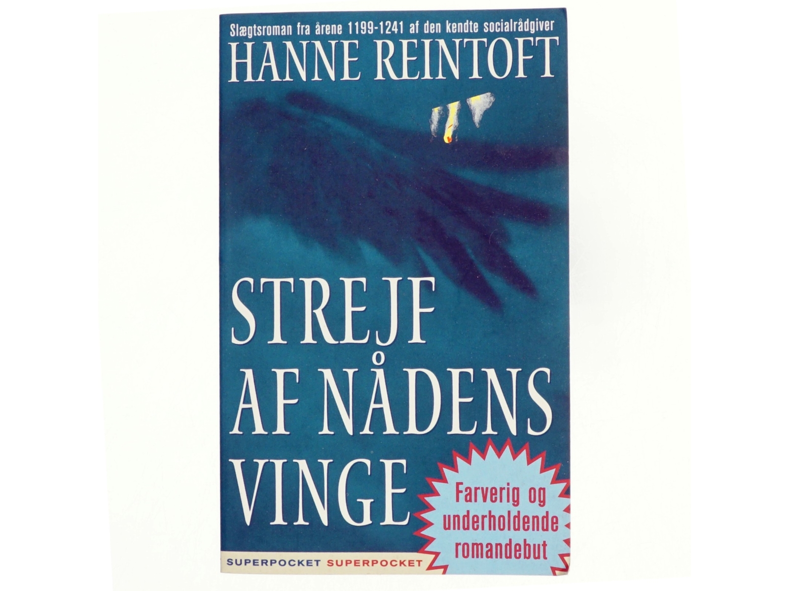 Strejf af nådens vinge : en slægtsroman fra årene 1199-1241 af Hanne Reintoft (Bog)