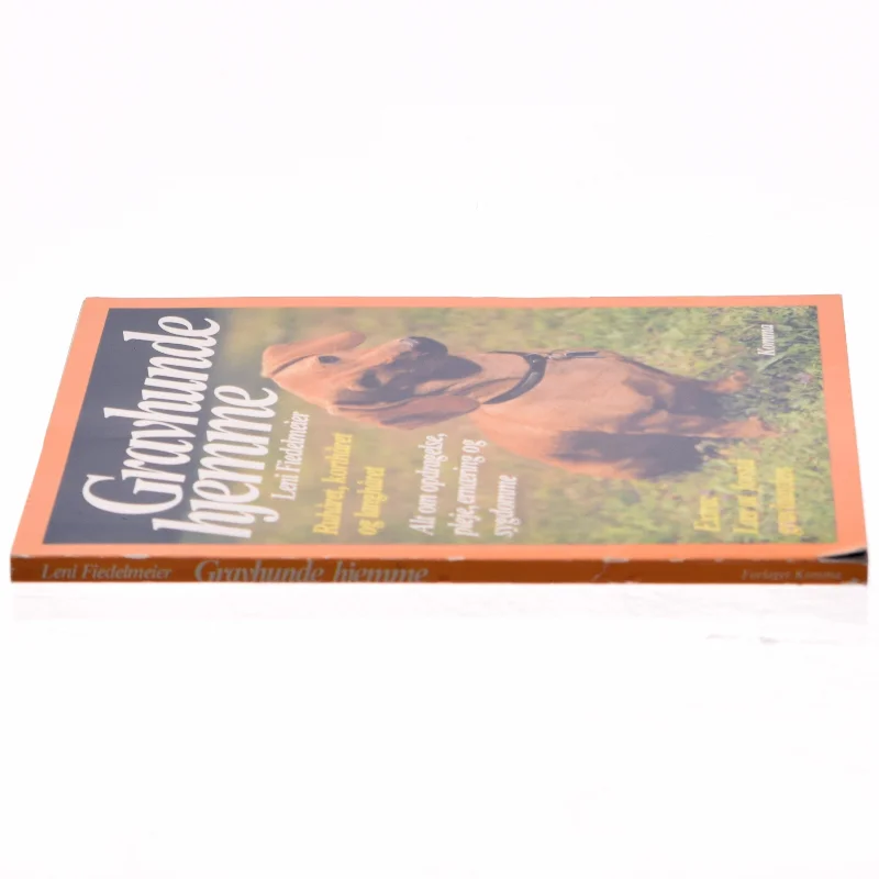 Gravhunde hjemme af Leni Fiedelmeier