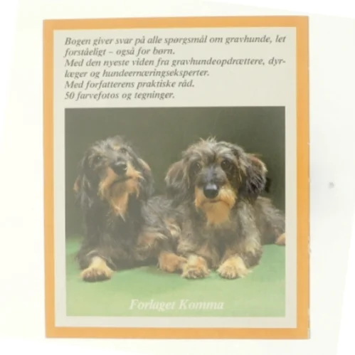 Gravhunde hjemme af Leni Fiedelmeier