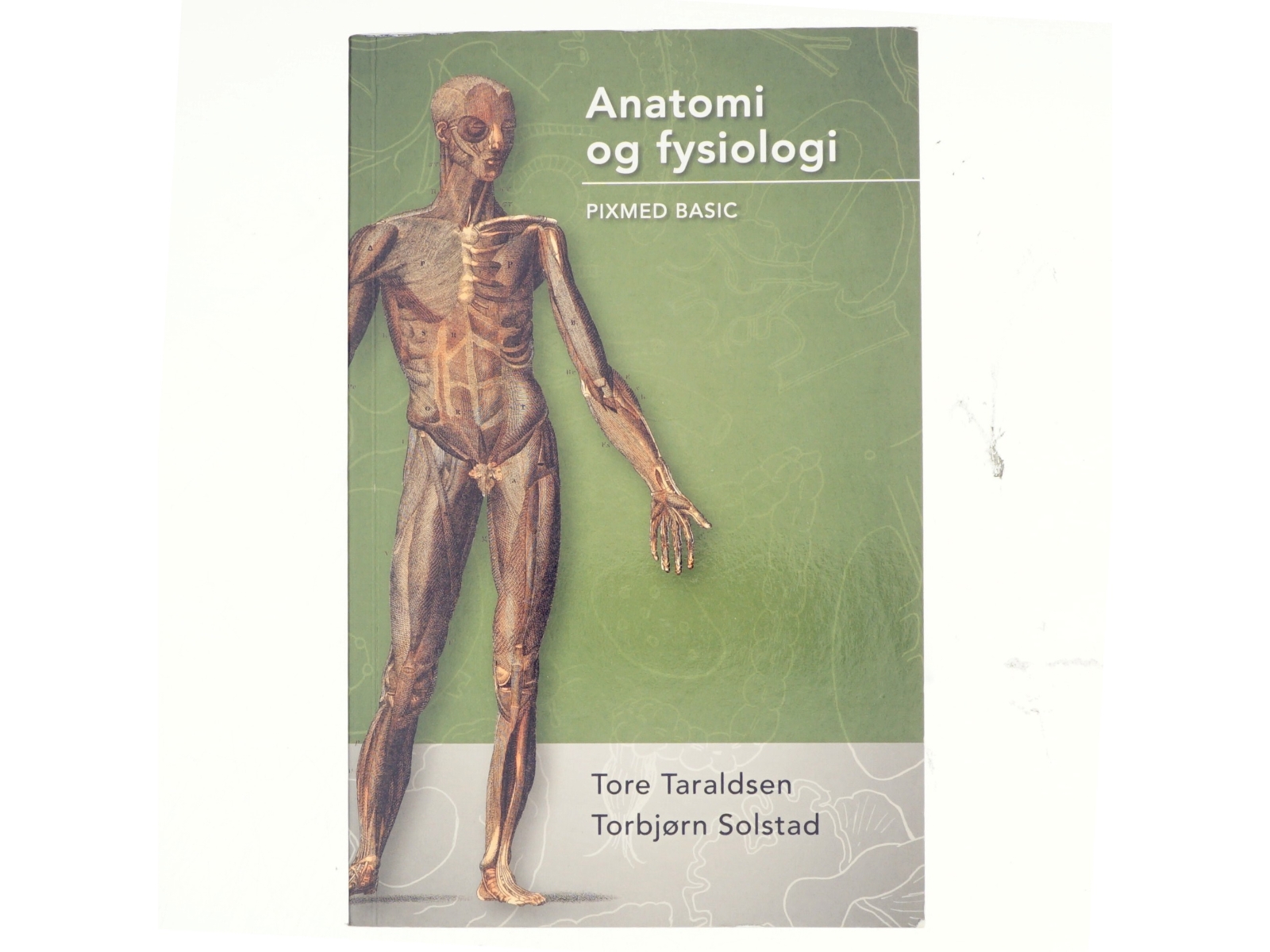 Anatomi og fysiologi