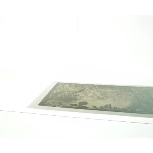 Stregtegning/plakat af naturmotiv (str. 41 x 59 cm)