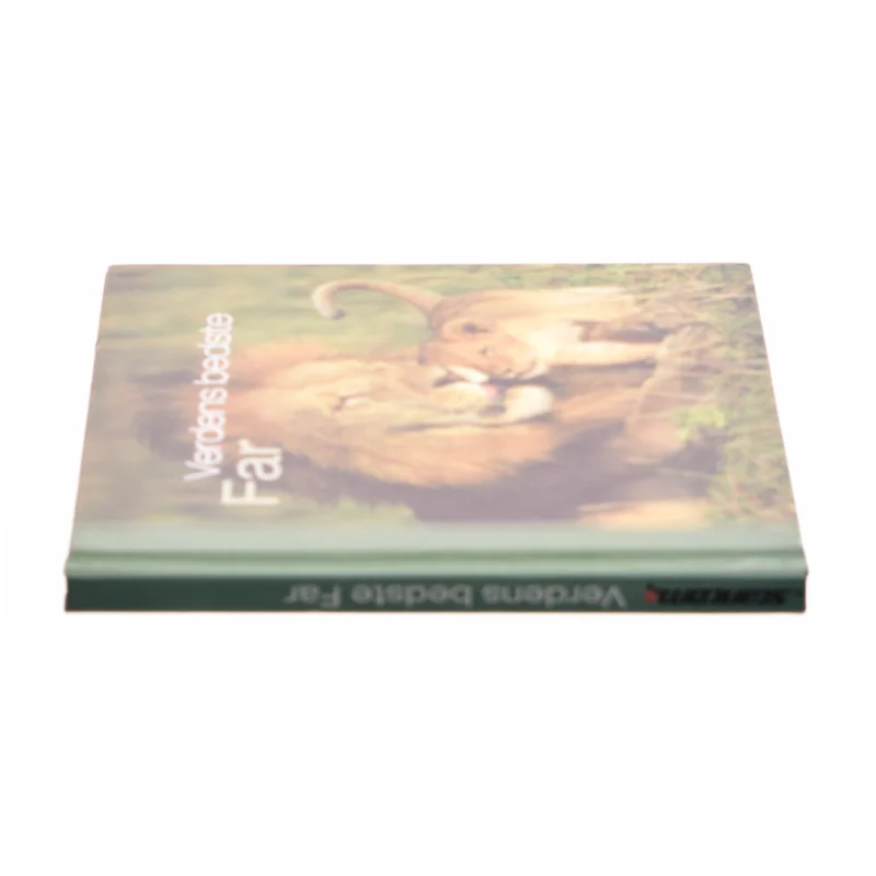 Verdens bedste far (Bog)