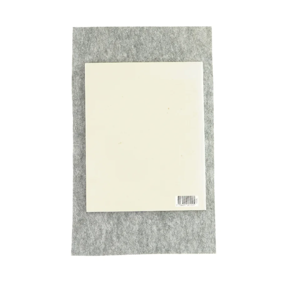 Chagall kærlighedens univers (bog)