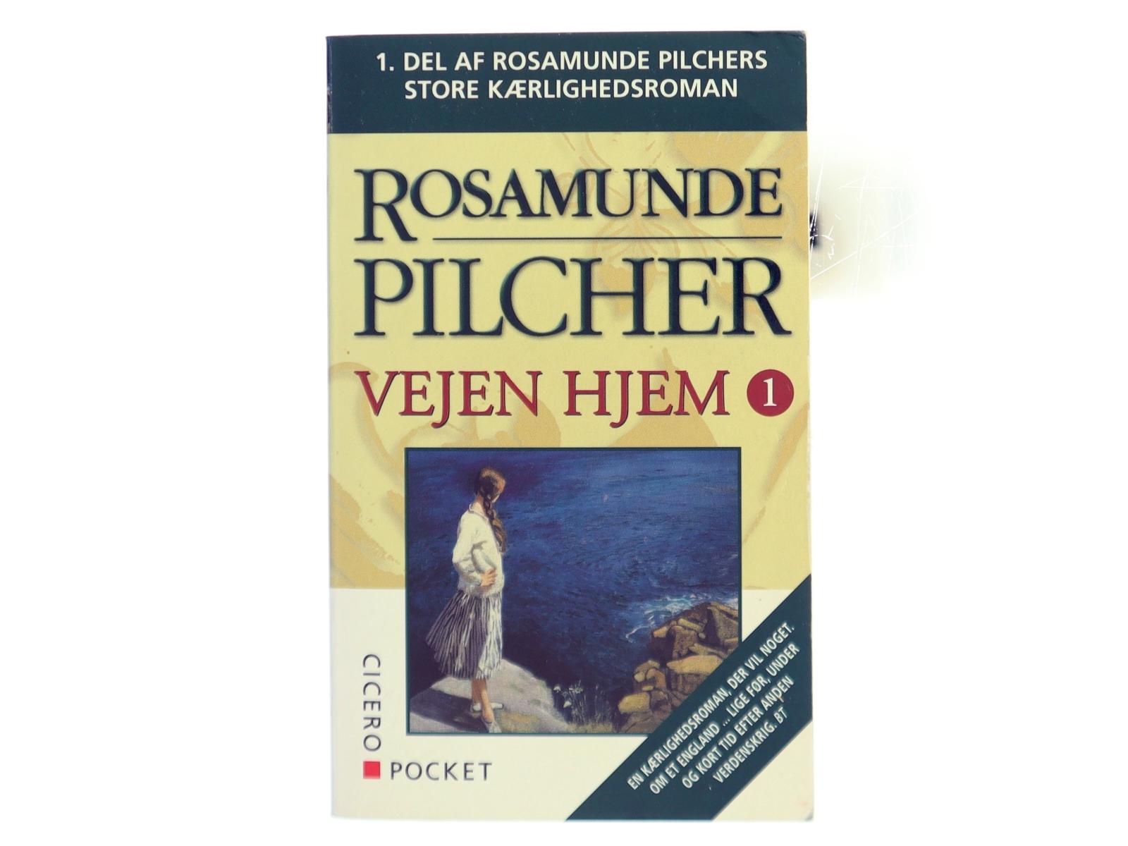 Vejen Hjem 1 af Rosamunde Pilcher (Bog)