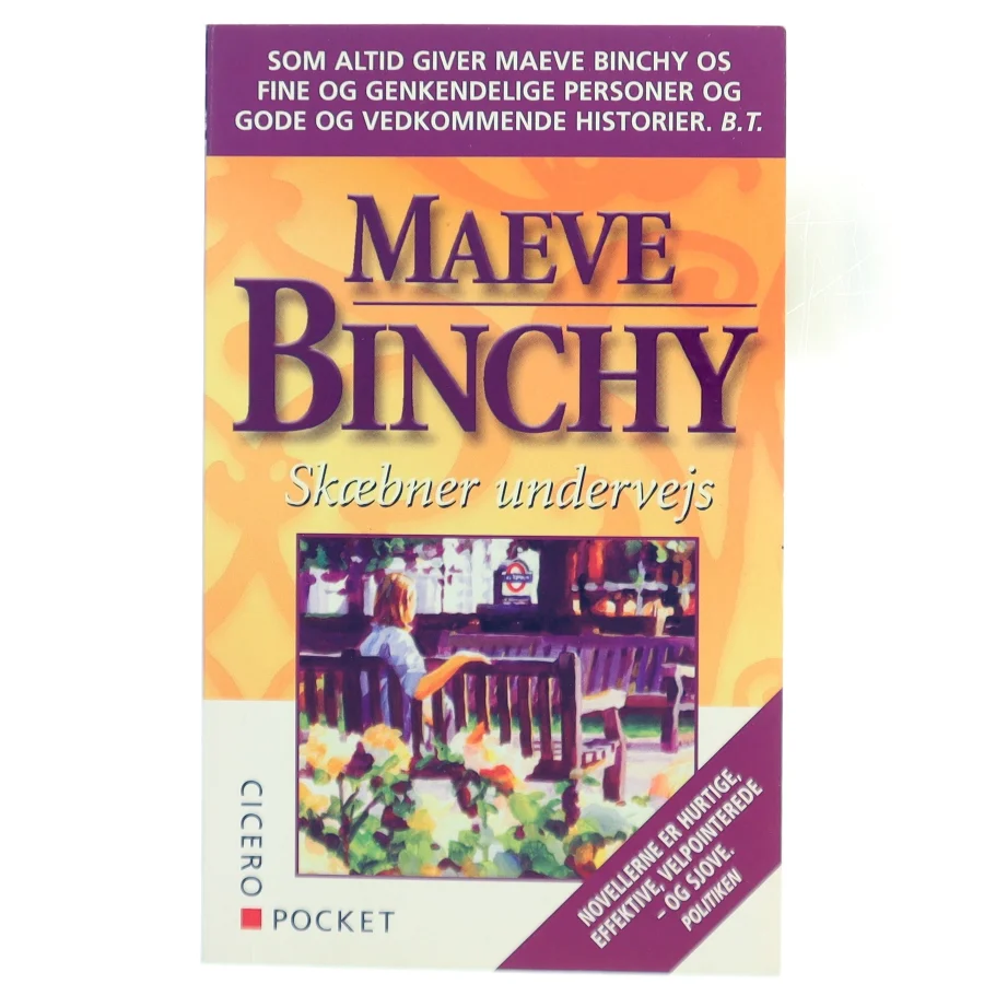 Skæbner undervejs af Maeve Binchy (Bog)