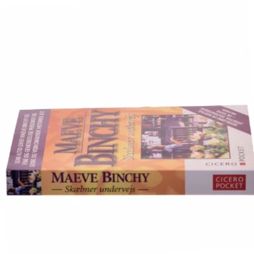 Skæbner undervejs af Maeve Binchy (Bog)