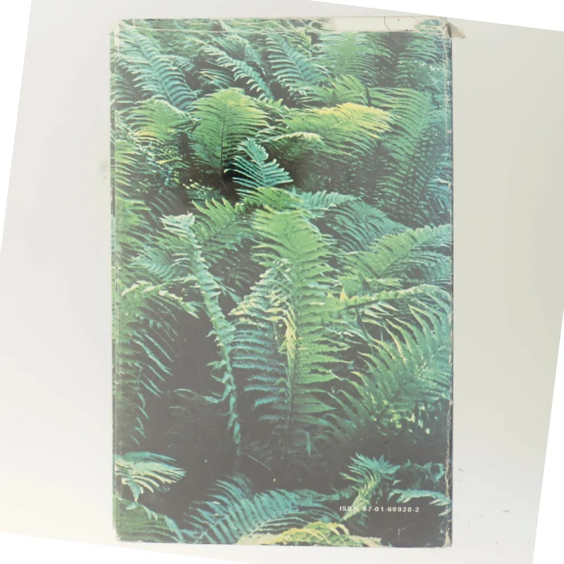 Knud W. Jensen - Mit Louisiana-liv