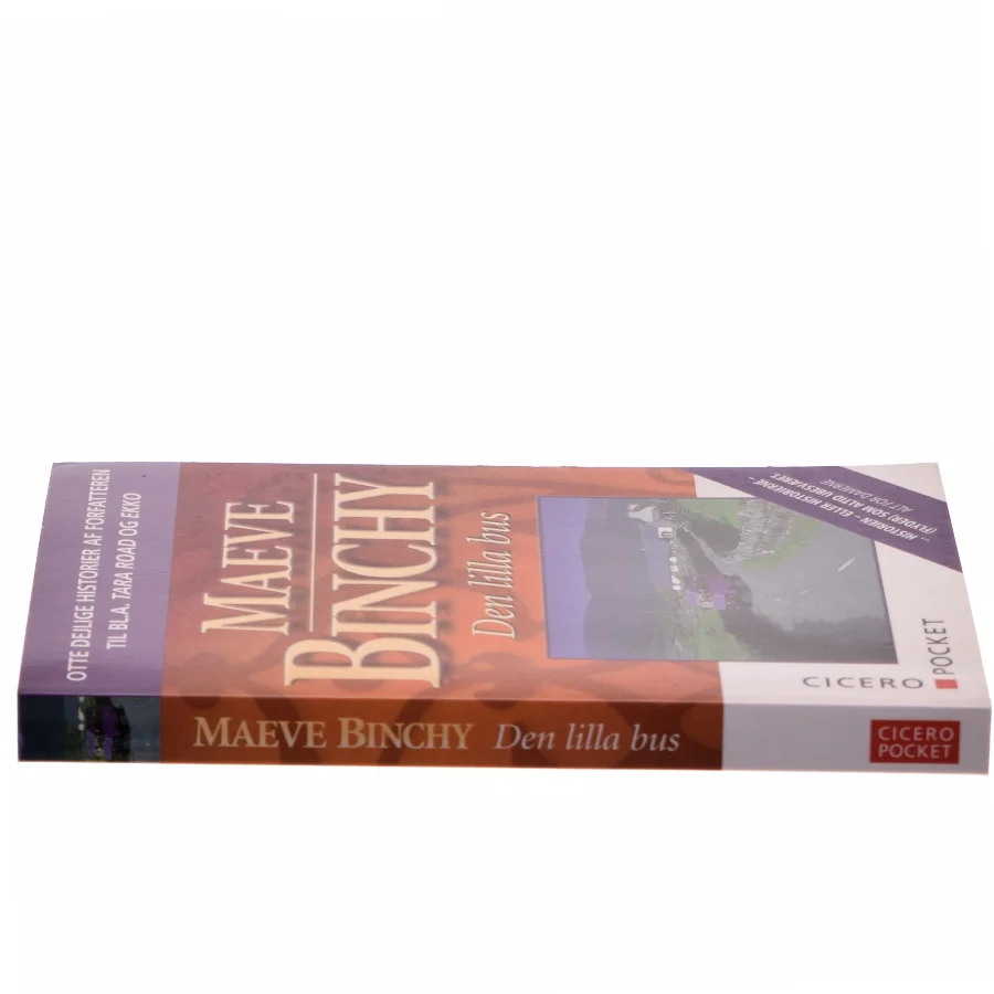 Den lilla bus af Maeve Binchy (Bog)