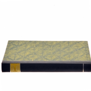 <Bogens titel ukendt> af <Bog forfattere ukendt> (Bog)