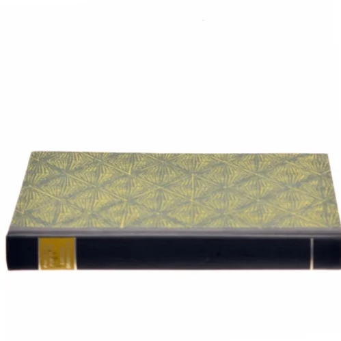 <Bogens titel ukendt> af <Bog forfattere ukendt> (Bog)