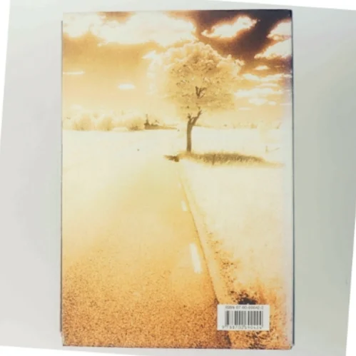 Lewis rejse : roman af Per Olov Enquist (Bog)