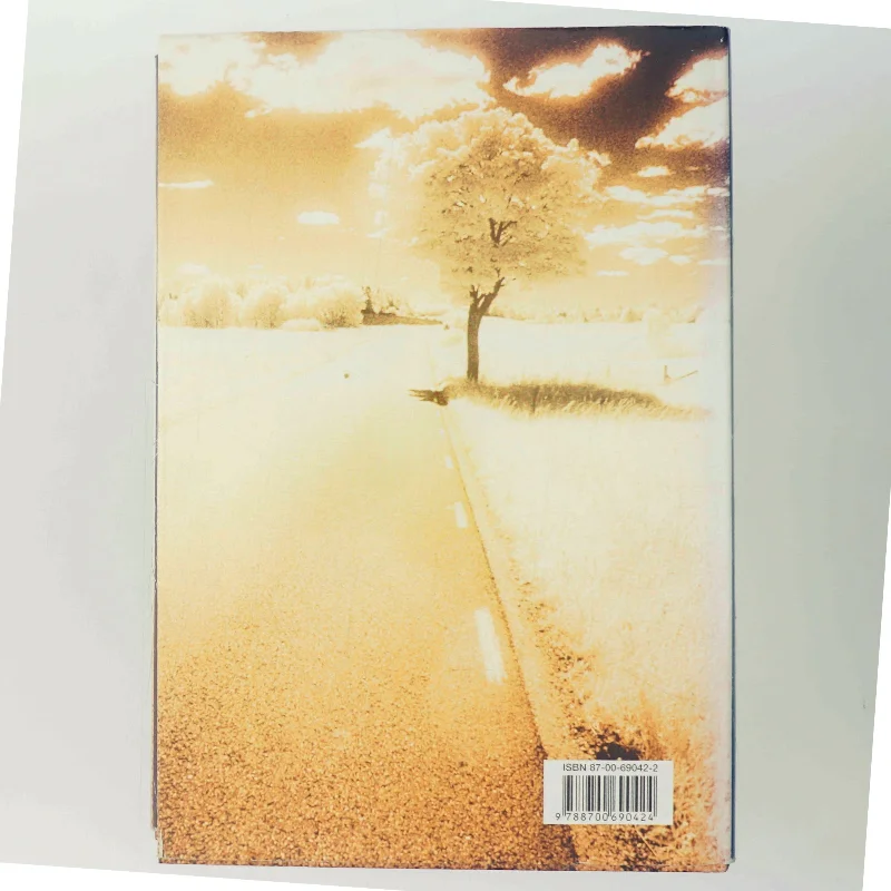 Lewis rejse : roman af Per Olov Enquist (Bog)