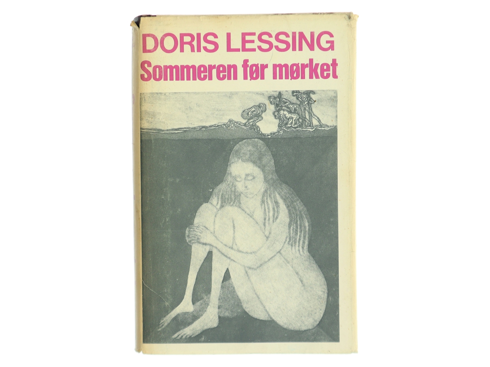 Sommeren før mørket af Doris Lessing (Bog)