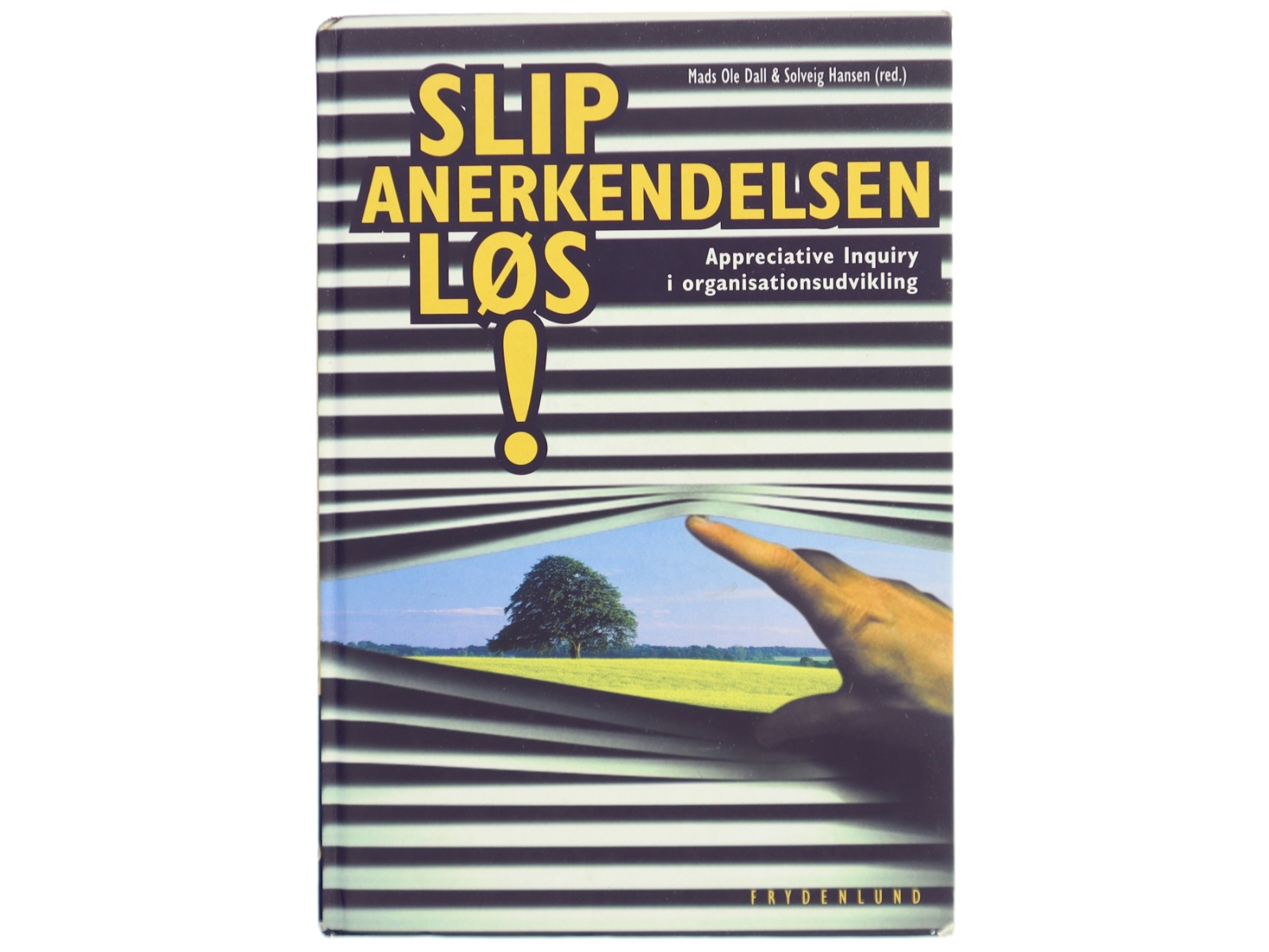 Slip anerkendelsen løs! : appreciative inquiry i organisationsudvikling af Mads Ole Dall (Bog)