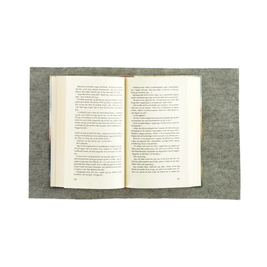 Kvinderne på stranden af Tove Alsterdal (Bog)