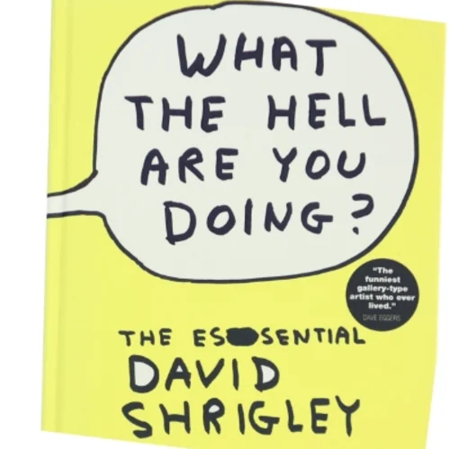 What the hell are you doing? : the essential David Shrigley af David Shrigley (Bog)