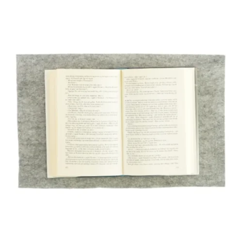 Favoritten af steve sohmer (bog)