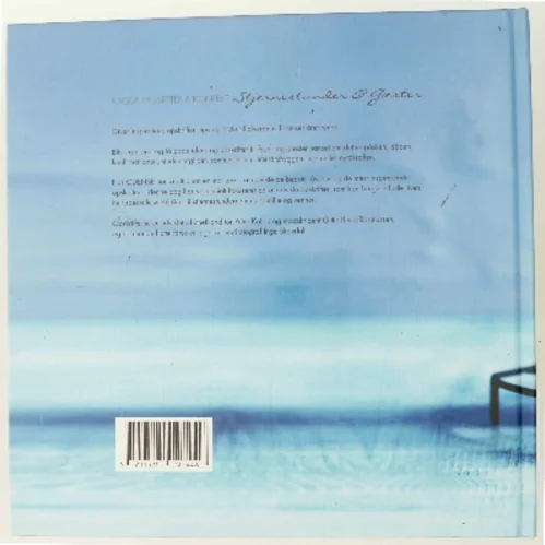 Kager, Desserter & Konfekt: Stjernestunder & Gæster af Inge Skovdal (Bog)