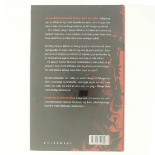 Ensomme hjerters klub af Lotte Hammer, Søren Hammer (Bog)