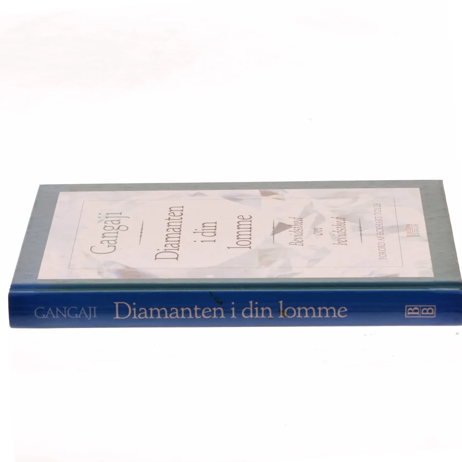Diamanten i din lomme af Gangaji (Bog)
