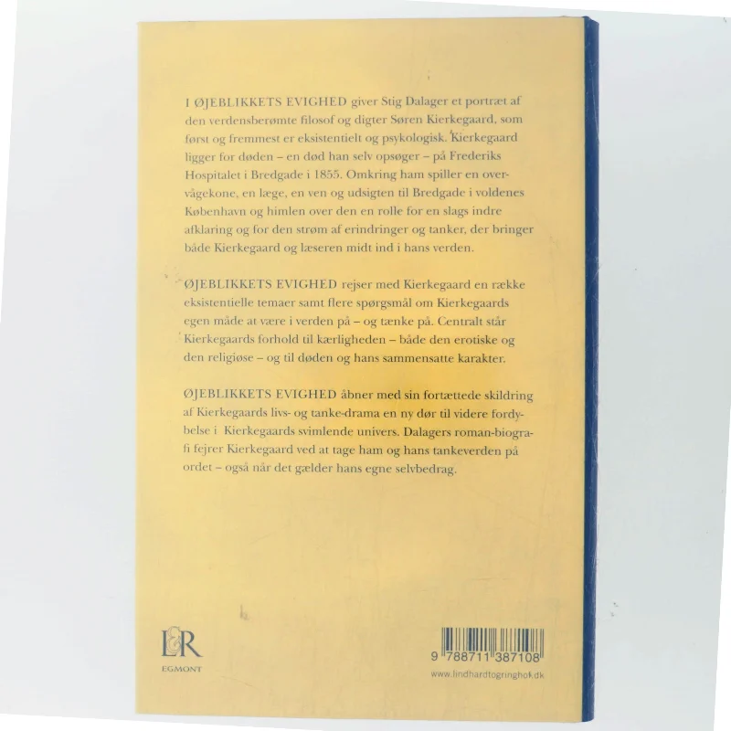 Øjeblikkets evighed : roman om Søren Kierkegaard af Stig Dalager (Bog)