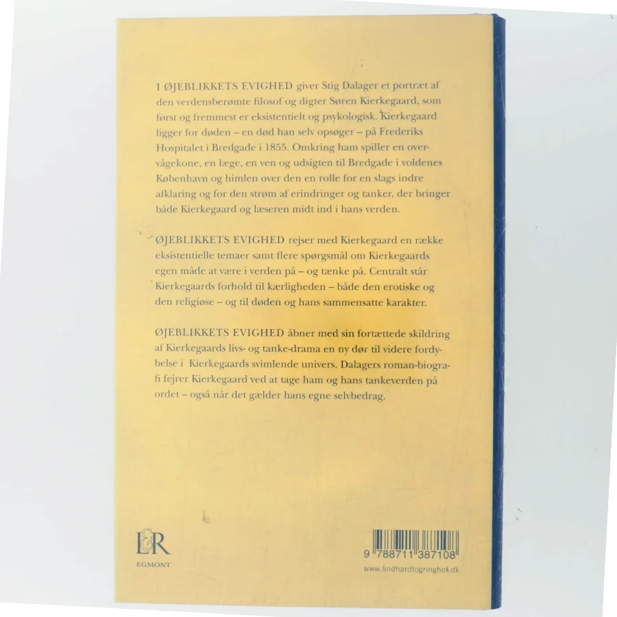 Øjeblikkets evighed : roman om Søren Kierkegaard af Stig Dalager (Bog)