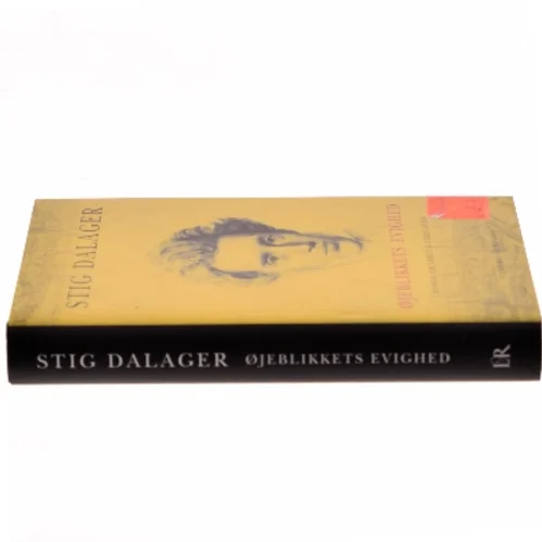 Øjeblikkets evighed : roman om Søren Kierkegaard af Stig Dalager (Bog)