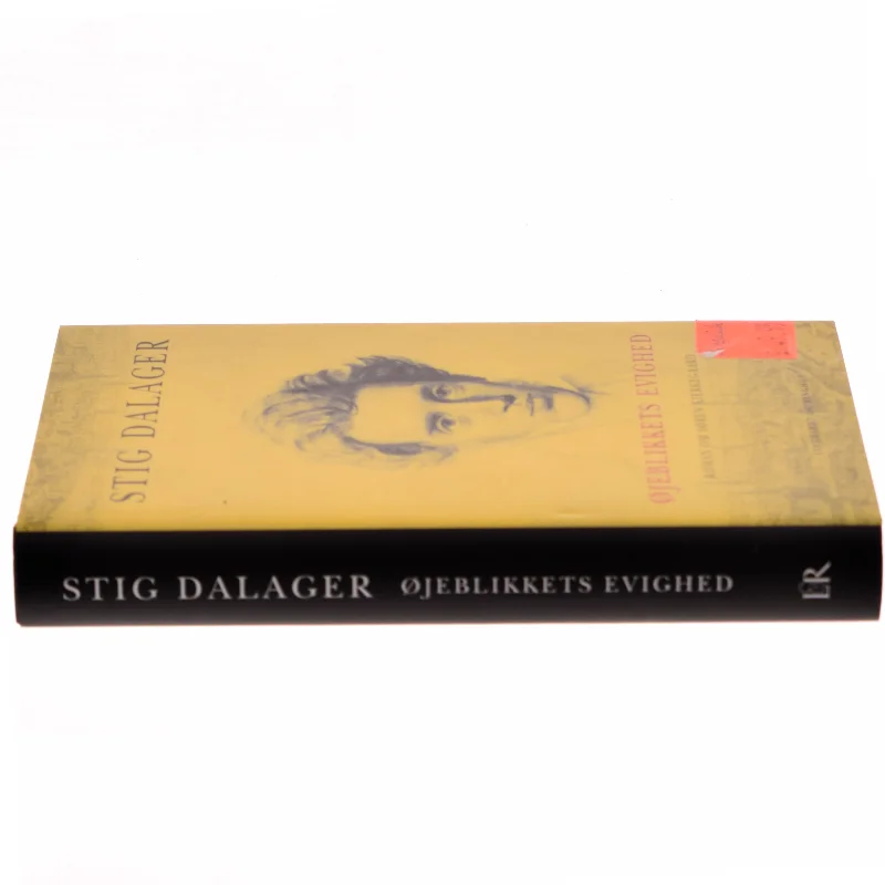 Øjeblikkets evighed : roman om Søren Kierkegaard af Stig Dalager (Bog)