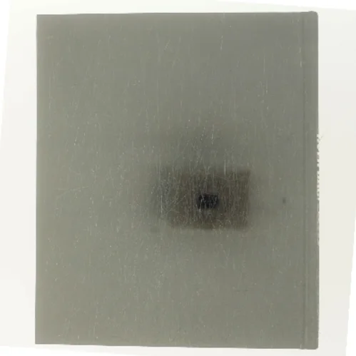 Hildebrandt Hver Dag! af Hildebrandt (Bog)