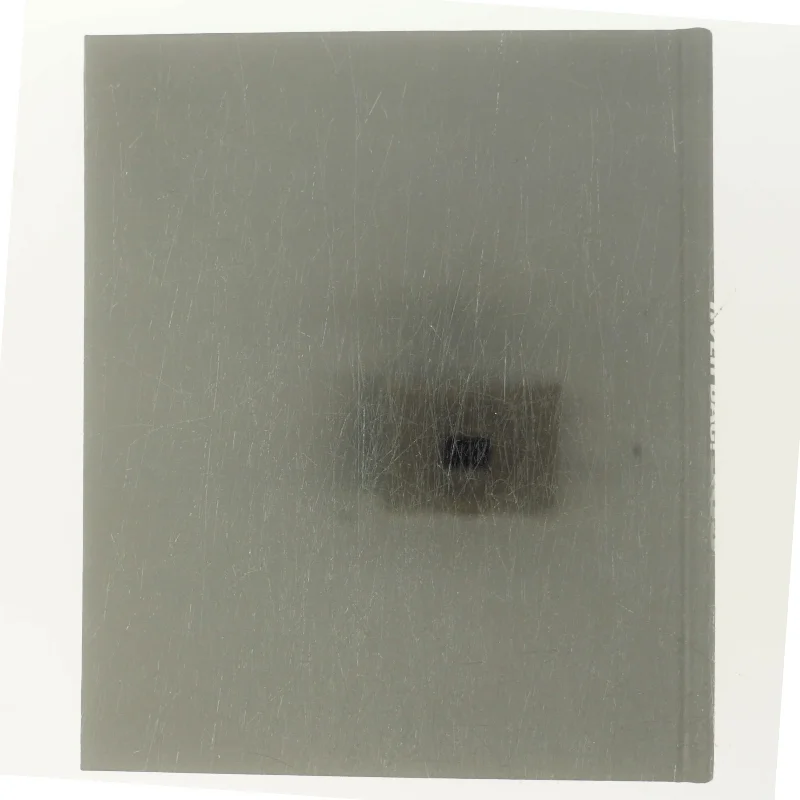 Hildebrandt Hver Dag! af Hildebrandt (Bog)